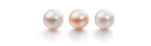 South-Sea-pearls